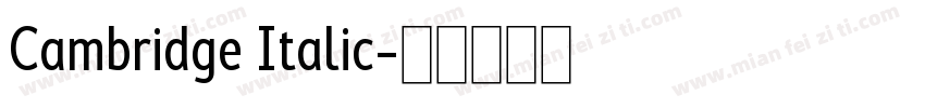 Cambridge Italic字体转换